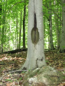 Feminine Spirituality is Everywhere! I kiss Her Everyday!