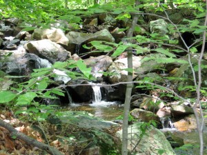 Mini Retreats