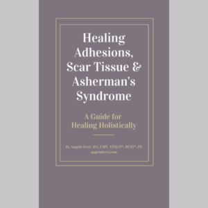 Book cover about healing adhesions, scar tissue, and Asherman's Syndrome.