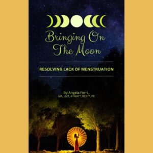 Cover of 'Bringing On The Moon' about menstruation stigma.